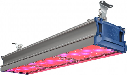 TL-PROM SM FITO 135 UN