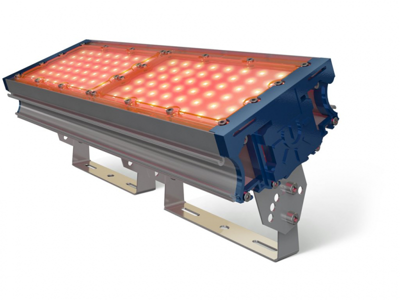 TL-PROM 100 PR PLUS FL (Д) Amber